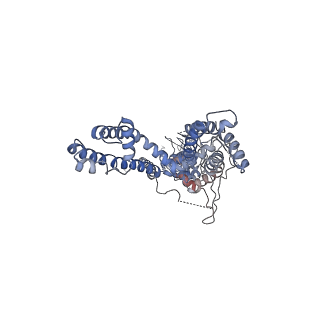 6267_3j9p_C_v1-4
Structure of the TRPA1 ion channel determined by electron cryo-microscopy
