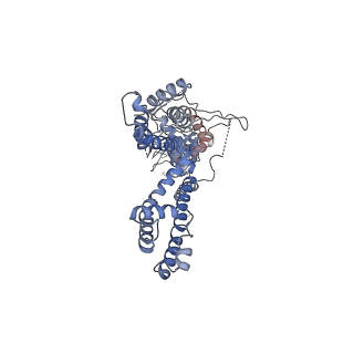 6267_3j9p_D_v1-4
Structure of the TRPA1 ion channel determined by electron cryo-microscopy