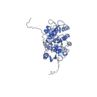 6270_3j9q_A_v1-4
Atomic structures of a bactericidal contractile nanotube in its pre- and post-contraction states