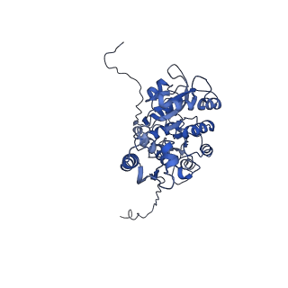 6270_3j9q_H_v1-4
Atomic structures of a bactericidal contractile nanotube in its pre- and post-contraction states