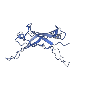 6270_3j9q_U_v1-4
Atomic structures of a bactericidal contractile nanotube in its pre- and post-contraction states