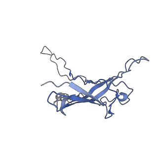 6270_3j9q_V_v1-4
Atomic structures of a bactericidal contractile nanotube in its pre- and post-contraction states