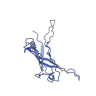 6270_3j9q_W_v1-4
Atomic structures of a bactericidal contractile nanotube in its pre- and post-contraction states