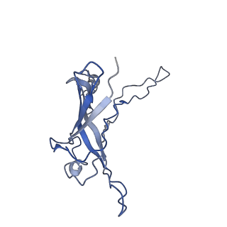 6270_3j9q_b_v1-4
Atomic structures of a bactericidal contractile nanotube in its pre- and post-contraction states