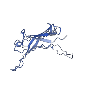 6270_3j9q_e_v1-4
Atomic structures of a bactericidal contractile nanotube in its pre- and post-contraction states