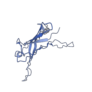 6270_3j9q_f_v1-4
Atomic structures of a bactericidal contractile nanotube in its pre- and post-contraction states