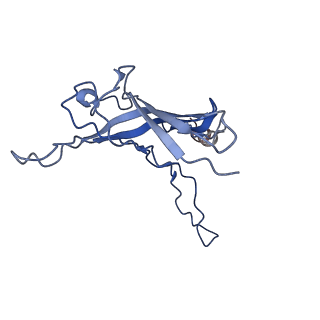 6270_3j9q_i_v1-4
Atomic structures of a bactericidal contractile nanotube in its pre- and post-contraction states