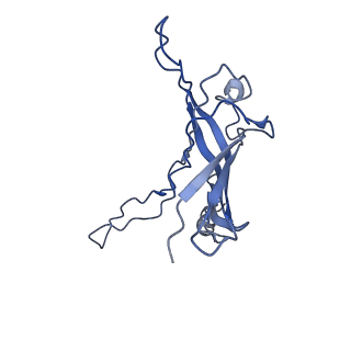 6270_3j9q_n_v1-4
Atomic structures of a bactericidal contractile nanotube in its pre- and post-contraction states