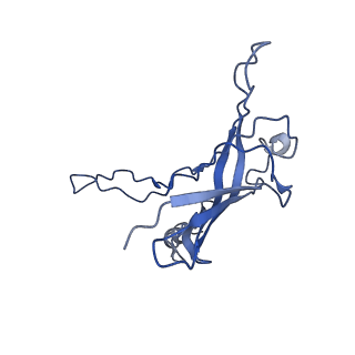 6270_3j9q_p_v1-4
Atomic structures of a bactericidal contractile nanotube in its pre- and post-contraction states