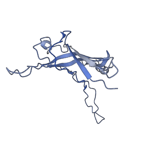 6270_3j9q_q_v1-4
Atomic structures of a bactericidal contractile nanotube in its pre- and post-contraction states