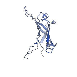 6270_3j9q_v_v1-4
Atomic structures of a bactericidal contractile nanotube in its pre- and post-contraction states