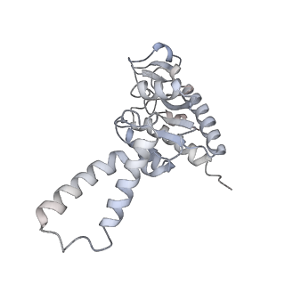 6306_3j9w_AB_v1-2
Cryo-EM structure of the Bacillus subtilis MifM-stalled ribosome complex