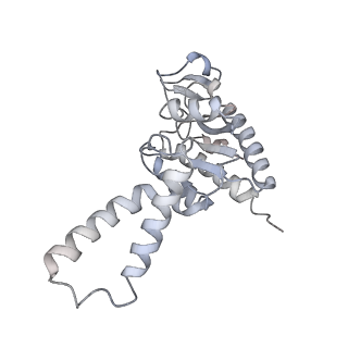 6306_3j9w_AB_v1-3
Cryo-EM structure of the Bacillus subtilis MifM-stalled ribosome complex