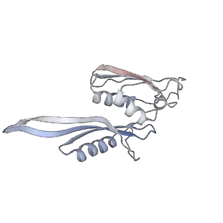 6306_3j9w_AE_v1-2
Cryo-EM structure of the Bacillus subtilis MifM-stalled ribosome complex