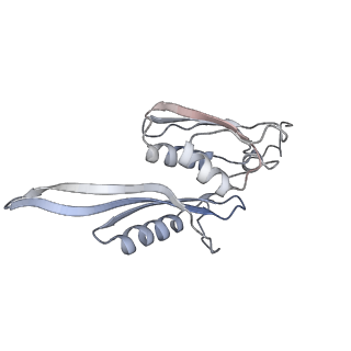 6306_3j9w_AE_v1-3
Cryo-EM structure of the Bacillus subtilis MifM-stalled ribosome complex