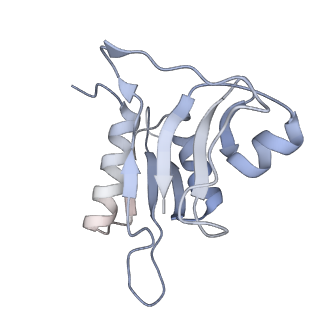 6306_3j9w_AH_v1-2
Cryo-EM structure of the Bacillus subtilis MifM-stalled ribosome complex