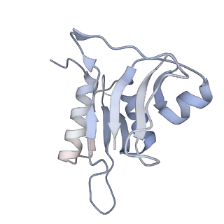 6306_3j9w_AH_v1-3
Cryo-EM structure of the Bacillus subtilis MifM-stalled ribosome complex