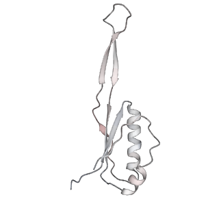 6306_3j9w_AJ_v1-2
Cryo-EM structure of the Bacillus subtilis MifM-stalled ribosome complex