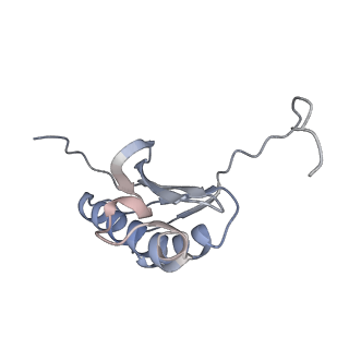 6306_3j9w_AK_v1-2
Cryo-EM structure of the Bacillus subtilis MifM-stalled ribosome complex