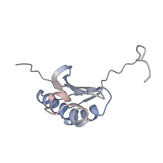 6306_3j9w_AK_v1-3
Cryo-EM structure of the Bacillus subtilis MifM-stalled ribosome complex