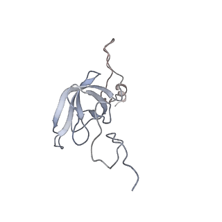 6306_3j9w_AL_v1-2
Cryo-EM structure of the Bacillus subtilis MifM-stalled ribosome complex