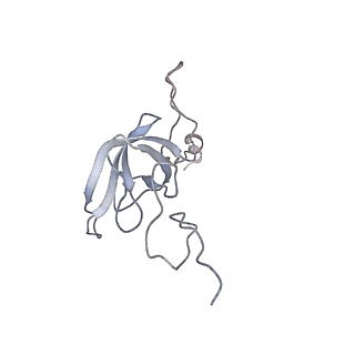 6306_3j9w_AL_v1-3
Cryo-EM structure of the Bacillus subtilis MifM-stalled ribosome complex