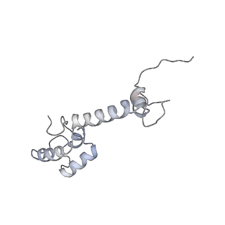 6306_3j9w_AM_v1-2
Cryo-EM structure of the Bacillus subtilis MifM-stalled ribosome complex