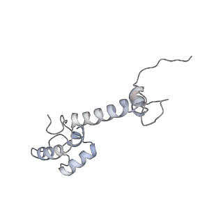 6306_3j9w_AM_v1-3
Cryo-EM structure of the Bacillus subtilis MifM-stalled ribosome complex