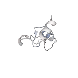 6306_3j9w_AN_v1-2
Cryo-EM structure of the Bacillus subtilis MifM-stalled ribosome complex