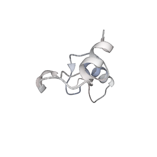 6306_3j9w_AN_v1-3
Cryo-EM structure of the Bacillus subtilis MifM-stalled ribosome complex