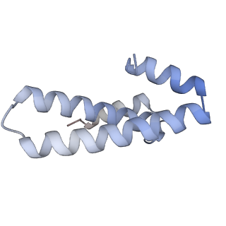 6306_3j9w_AO_v1-2
Cryo-EM structure of the Bacillus subtilis MifM-stalled ribosome complex