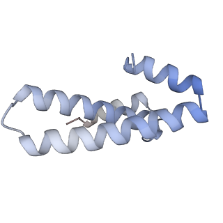 6306_3j9w_AO_v1-3
Cryo-EM structure of the Bacillus subtilis MifM-stalled ribosome complex