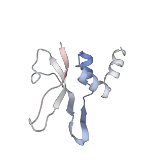 6306_3j9w_AP_v1-2
Cryo-EM structure of the Bacillus subtilis MifM-stalled ribosome complex