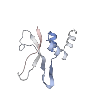 6306_3j9w_AP_v1-3
Cryo-EM structure of the Bacillus subtilis MifM-stalled ribosome complex