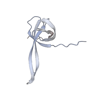 6306_3j9w_AQ_v1-3
Cryo-EM structure of the Bacillus subtilis MifM-stalled ribosome complex