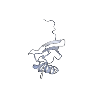 6306_3j9w_AS_v1-2
Cryo-EM structure of the Bacillus subtilis MifM-stalled ribosome complex