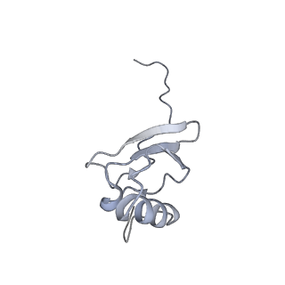 6306_3j9w_AS_v1-3
Cryo-EM structure of the Bacillus subtilis MifM-stalled ribosome complex