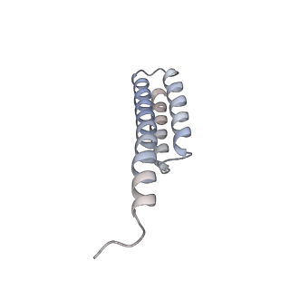 6306_3j9w_AT_v1-2
Cryo-EM structure of the Bacillus subtilis MifM-stalled ribosome complex