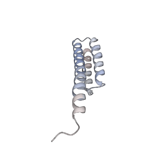 6306_3j9w_AT_v1-3
Cryo-EM structure of the Bacillus subtilis MifM-stalled ribosome complex