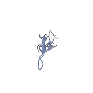 6306_3j9w_B0_v1-2
Cryo-EM structure of the Bacillus subtilis MifM-stalled ribosome complex