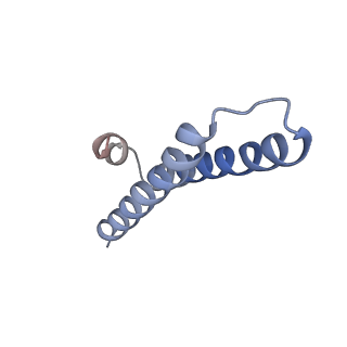 6306_3j9w_B1_v1-2
Cryo-EM structure of the Bacillus subtilis MifM-stalled ribosome complex