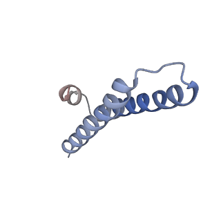 6306_3j9w_B1_v1-3
Cryo-EM structure of the Bacillus subtilis MifM-stalled ribosome complex