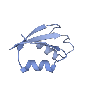 6306_3j9w_B2_v1-2
Cryo-EM structure of the Bacillus subtilis MifM-stalled ribosome complex