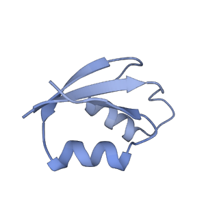 6306_3j9w_B2_v1-3
Cryo-EM structure of the Bacillus subtilis MifM-stalled ribosome complex