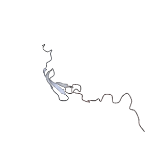 6306_3j9w_B3_v1-2
Cryo-EM structure of the Bacillus subtilis MifM-stalled ribosome complex