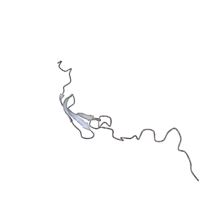 6306_3j9w_B3_v1-3
Cryo-EM structure of the Bacillus subtilis MifM-stalled ribosome complex