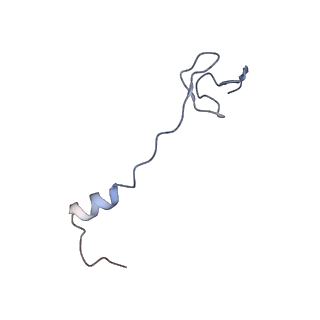 6306_3j9w_B4_v1-2
Cryo-EM structure of the Bacillus subtilis MifM-stalled ribosome complex