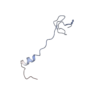 6306_3j9w_B4_v1-3
Cryo-EM structure of the Bacillus subtilis MifM-stalled ribosome complex