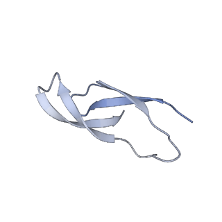 6306_3j9w_B5_v1-2
Cryo-EM structure of the Bacillus subtilis MifM-stalled ribosome complex