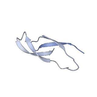 6306_3j9w_B5_v1-3
Cryo-EM structure of the Bacillus subtilis MifM-stalled ribosome complex